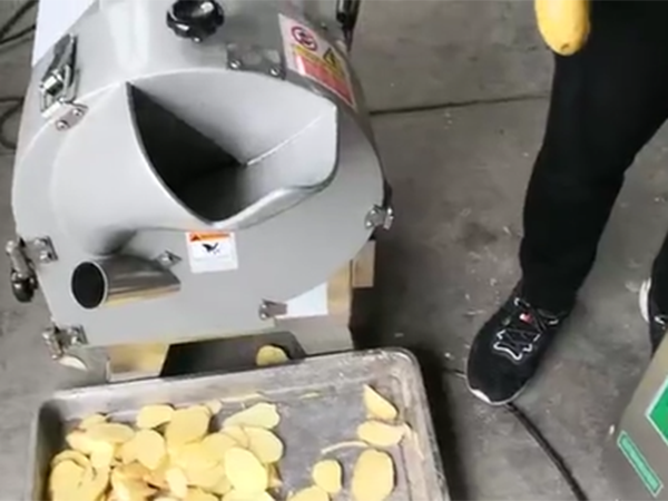 臺灣單頭根莖類