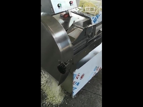 2000型蔬菜顆粒機(jī)